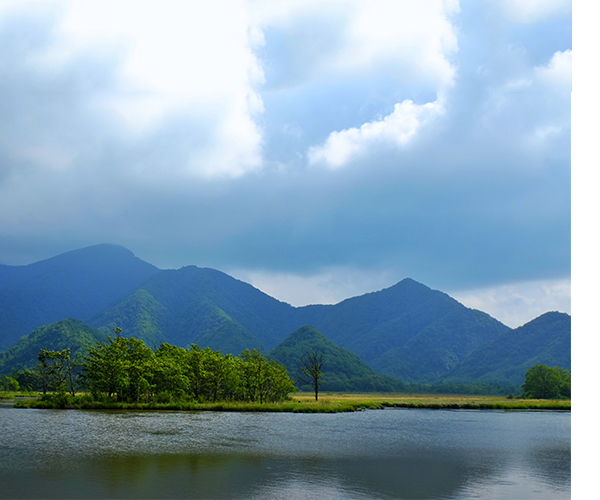 工程機(jī)械用內(nèi)燃機(jī)累計銷量63.10%